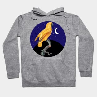 Cute Parrot Vintage Night Background Hoodie